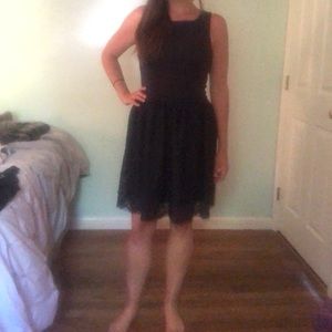 Super flattering Francescas Navy Lace Dress